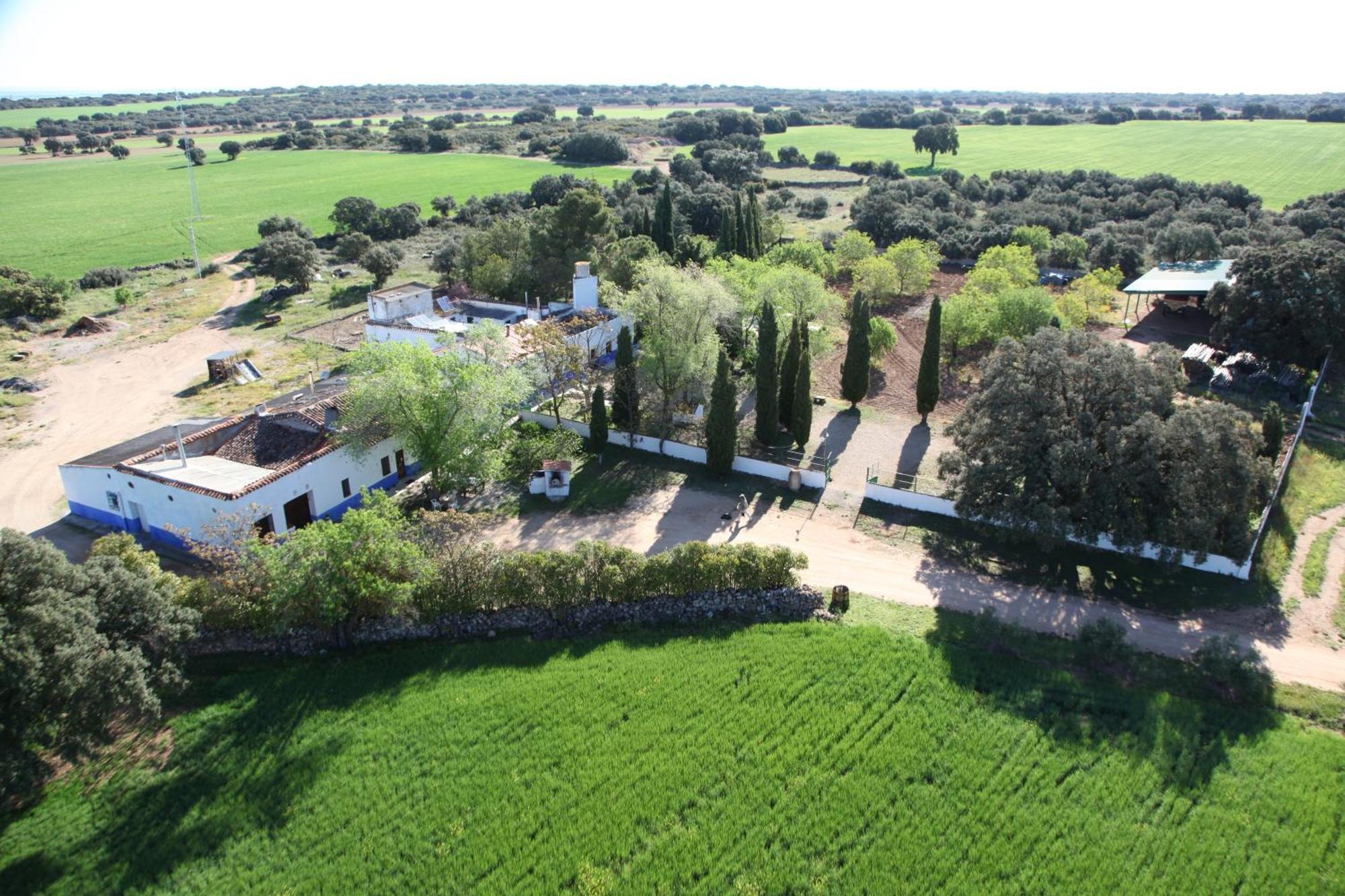 Agroturismo Calixto Villarrobledo Ngoại thất bức ảnh